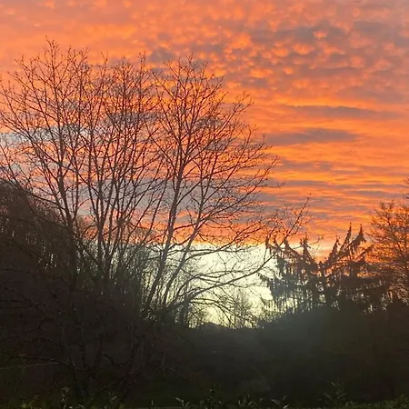 Libellule At De L'arac, Bar, Restaurant *