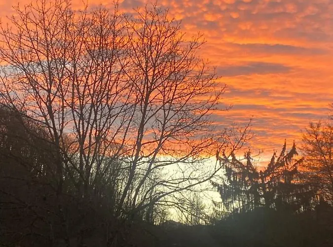 Libellule At De L'arac, Bar, Restaurant *