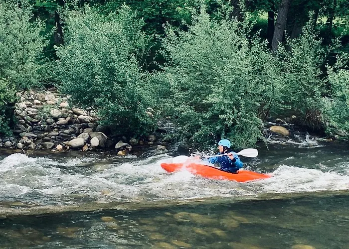 Libellule At De L'arac, Bar, Restaurant Nyaraló
