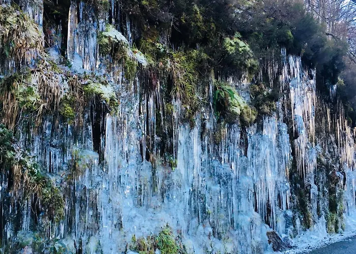 Nyaraló Libellule At De L'arac, Bar, Restaurant