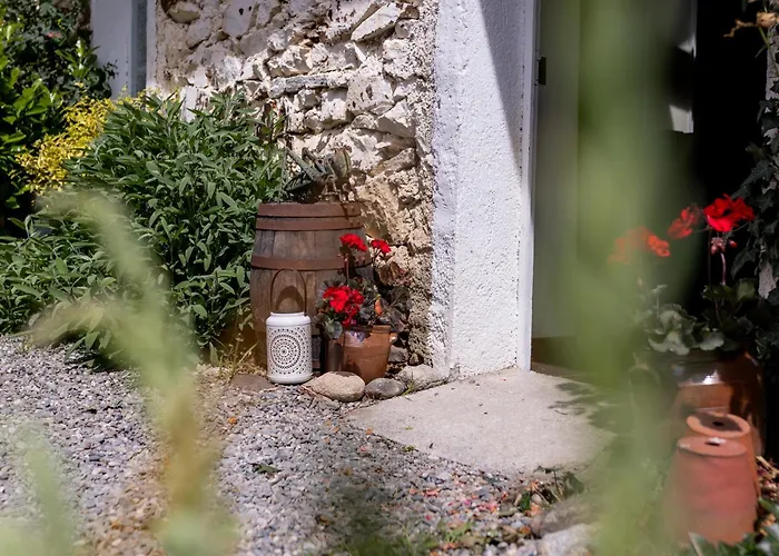 Libellule At De L'arac, Bar, Restaurant Nyaraló Aleu