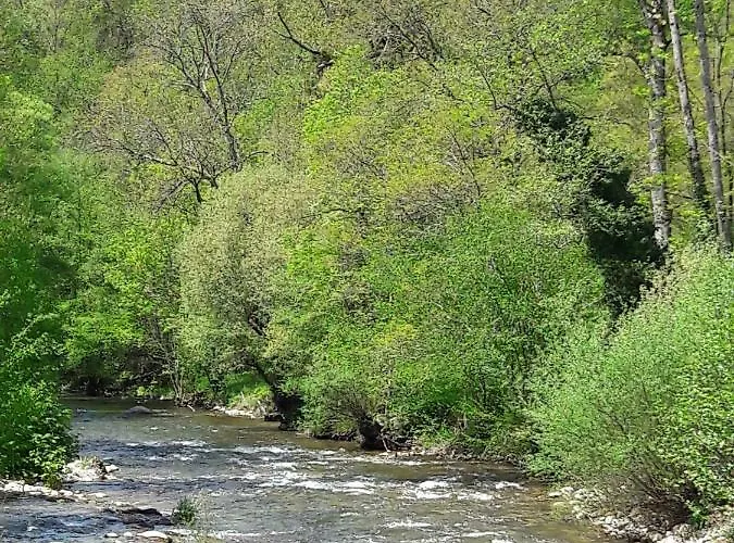 Libellule At De L'arac, Bar, Restaurant Nyaraló *